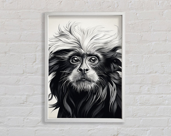 White Lion Tamarin Framed Print