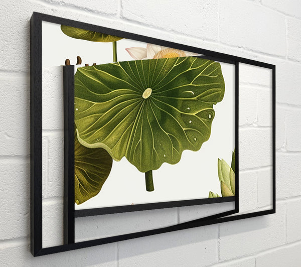 Botanical Flowers And Leaves