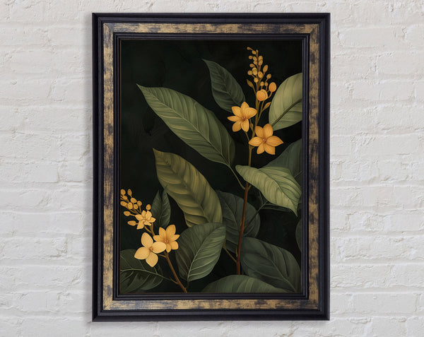 Botanical Yellow Flower Framed Print