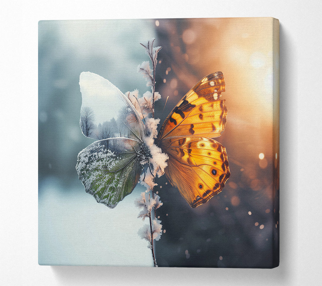 A Canvas Print of Butterfly Seasons Canvas Print