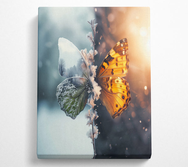  A Canvas Print of Butterfly Seasons Canvas Print