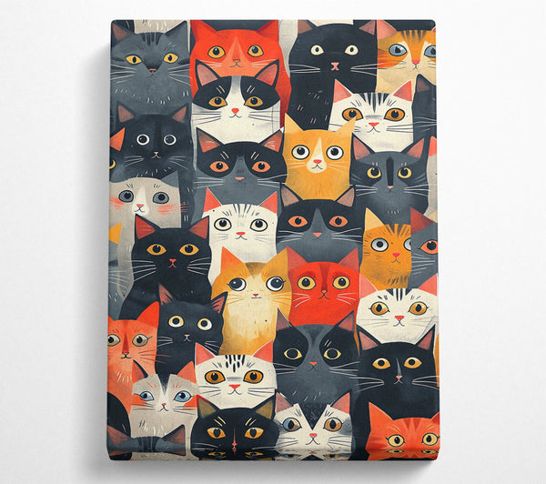 Cat Madness