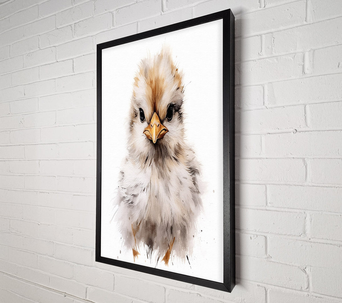  A Canvas Print of Chick Stare Canvas Print