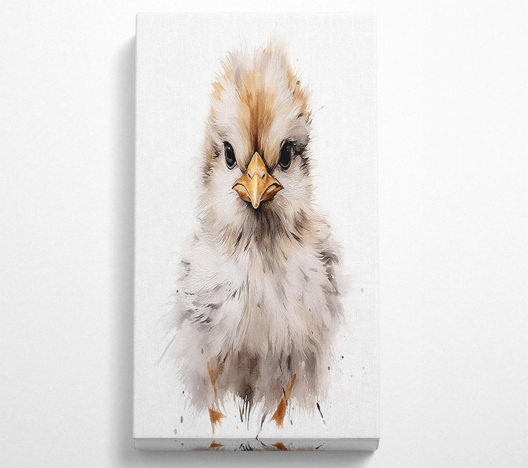  A Canvas Print of Chick Stare Canvas Print
