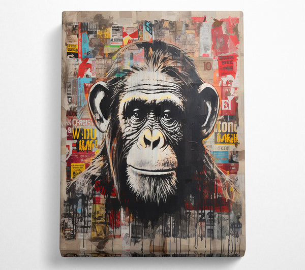  A Canvas Print of Chimpanzee Magazine Canvas Art