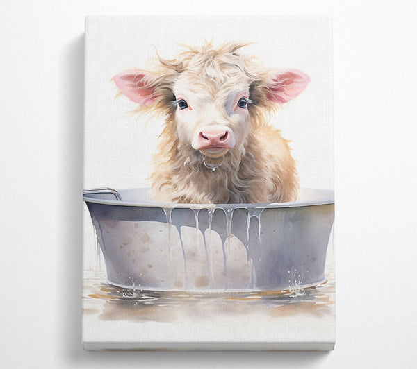  A Canvas Print of Cow Bath Canvas Print