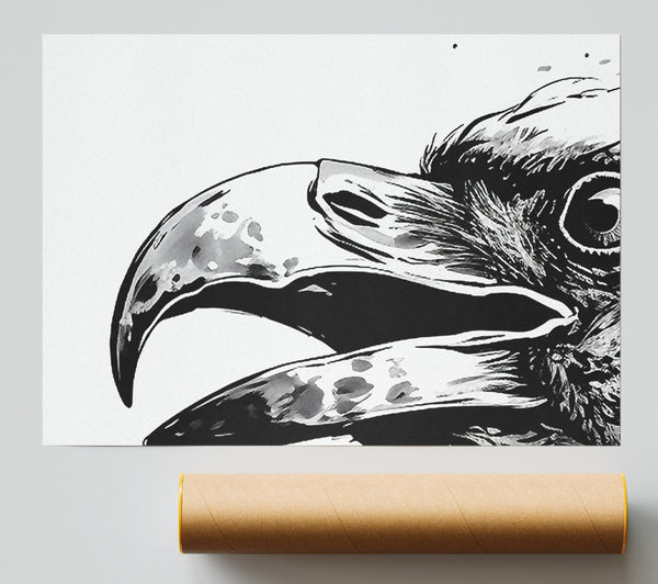 Crow Sketch Splash Giclee Print