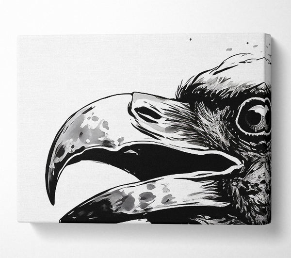  A Canvas Print of Crow Sketch Splash Canvas Art