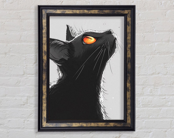 Curious Cat
