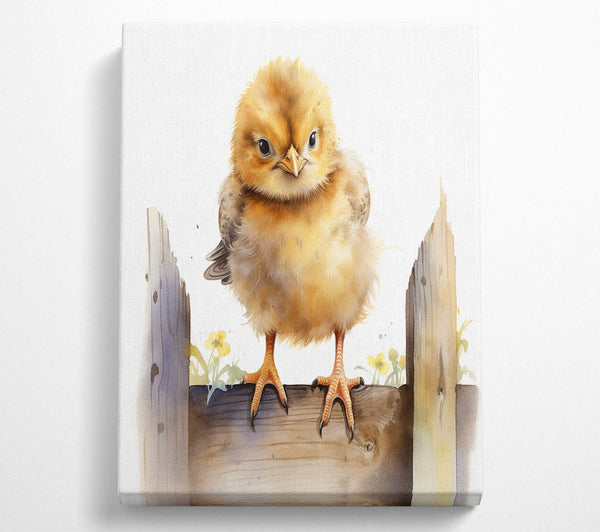  A Canvas Print of Cute Easter Chick Canvas Print