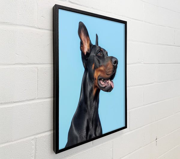 Doberman Blues