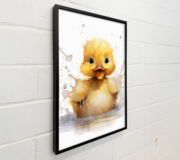 Duckling Splash