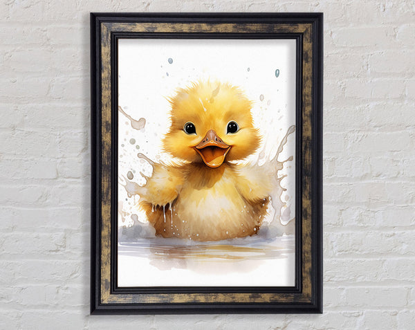 Duckling Splash Framed Print