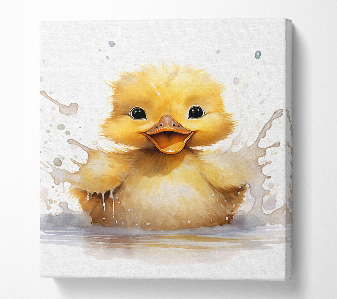  A Canvas Print of Duckling Splash Canvas Print