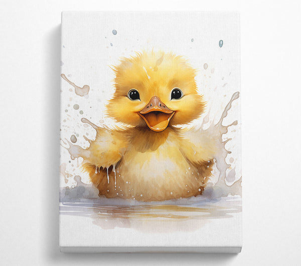  A Canvas Print of Duckling Splash Canvas Print