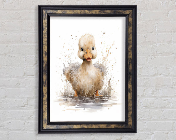 Duckling Framed Print