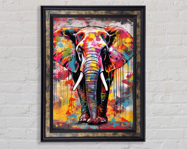 Elephant Paint Splash Framed Print
