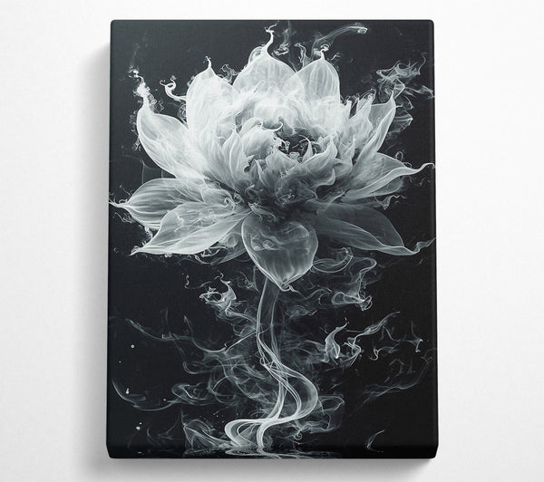  A Canvas Print of Flower Smoke Canvas Print