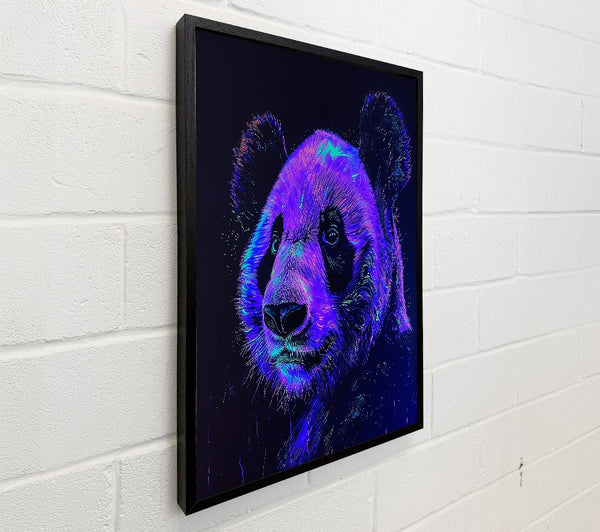 Purple Panda Glow