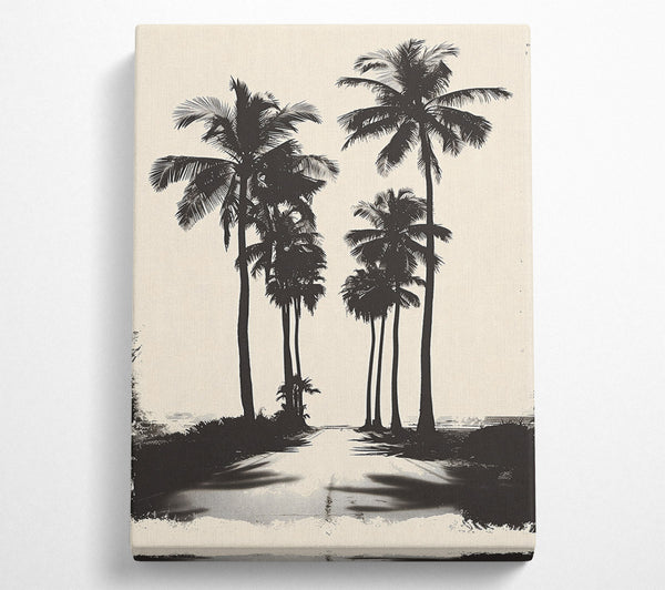  A Canvas Print of Cream Palm Avenue Canvas Art