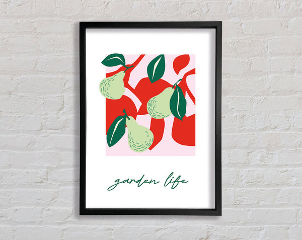 Garden Life Framed Print