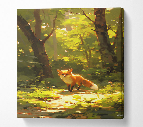  A Canvas Print of Golden Fox Path Canvas Print