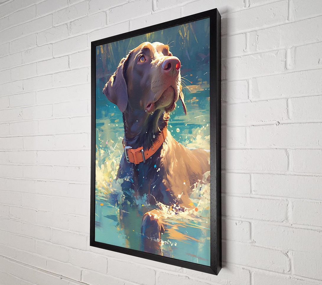  A Canvas Print of Brown Dog'S Splash Canvas Art
