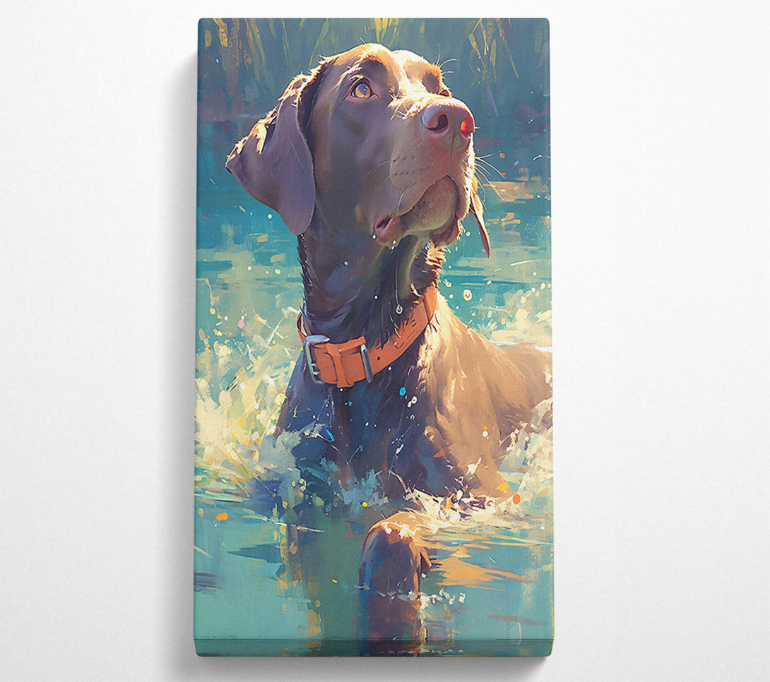  A Canvas Print of Brown Dog'S Splash Canvas Art
