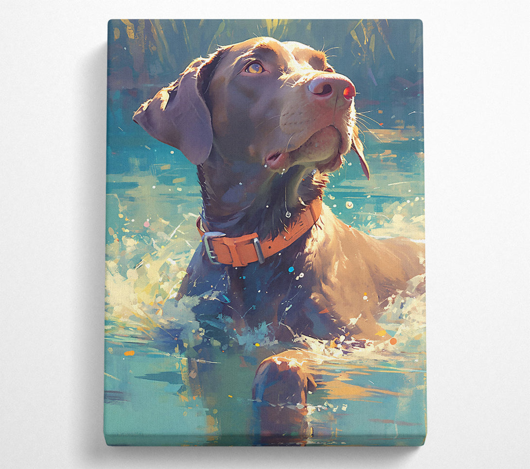  A Canvas Print of Brown Dog'S Splash Canvas Art