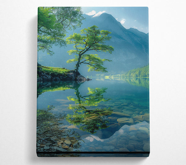  A Canvas Print of Azure Tree Reflection Canvas Wall Art