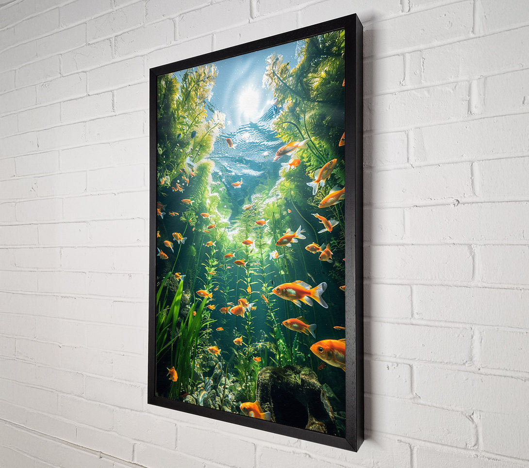  A Canvas Print of Orange Fish Sunbeams Canvas Art