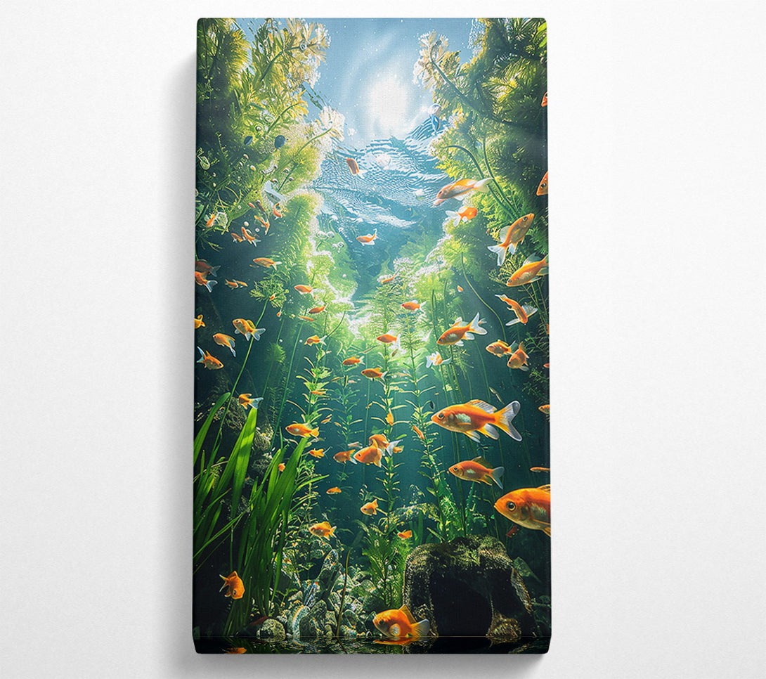  A Canvas Print of Orange Fish Sunbeams Canvas Art
