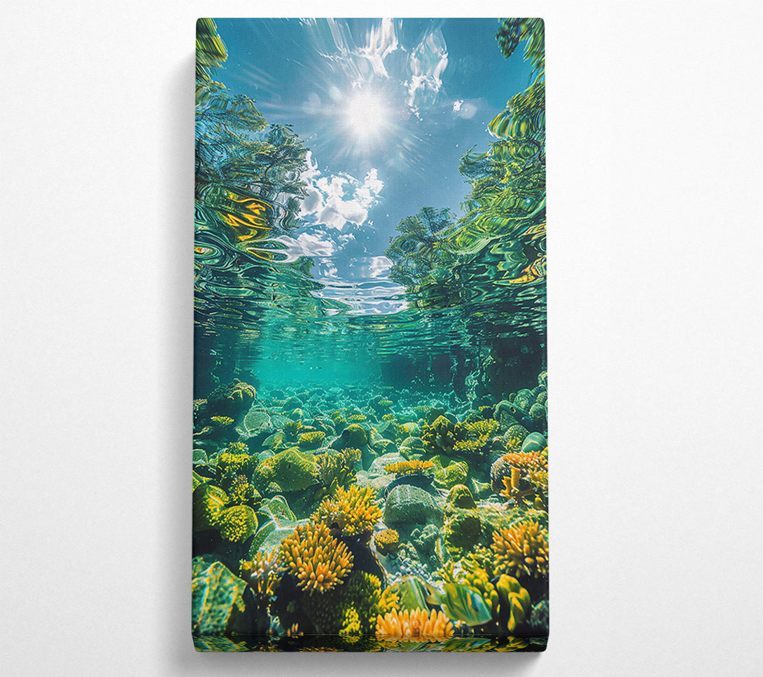  A Canvas Print of Golden Reef Reflection Canvas Print