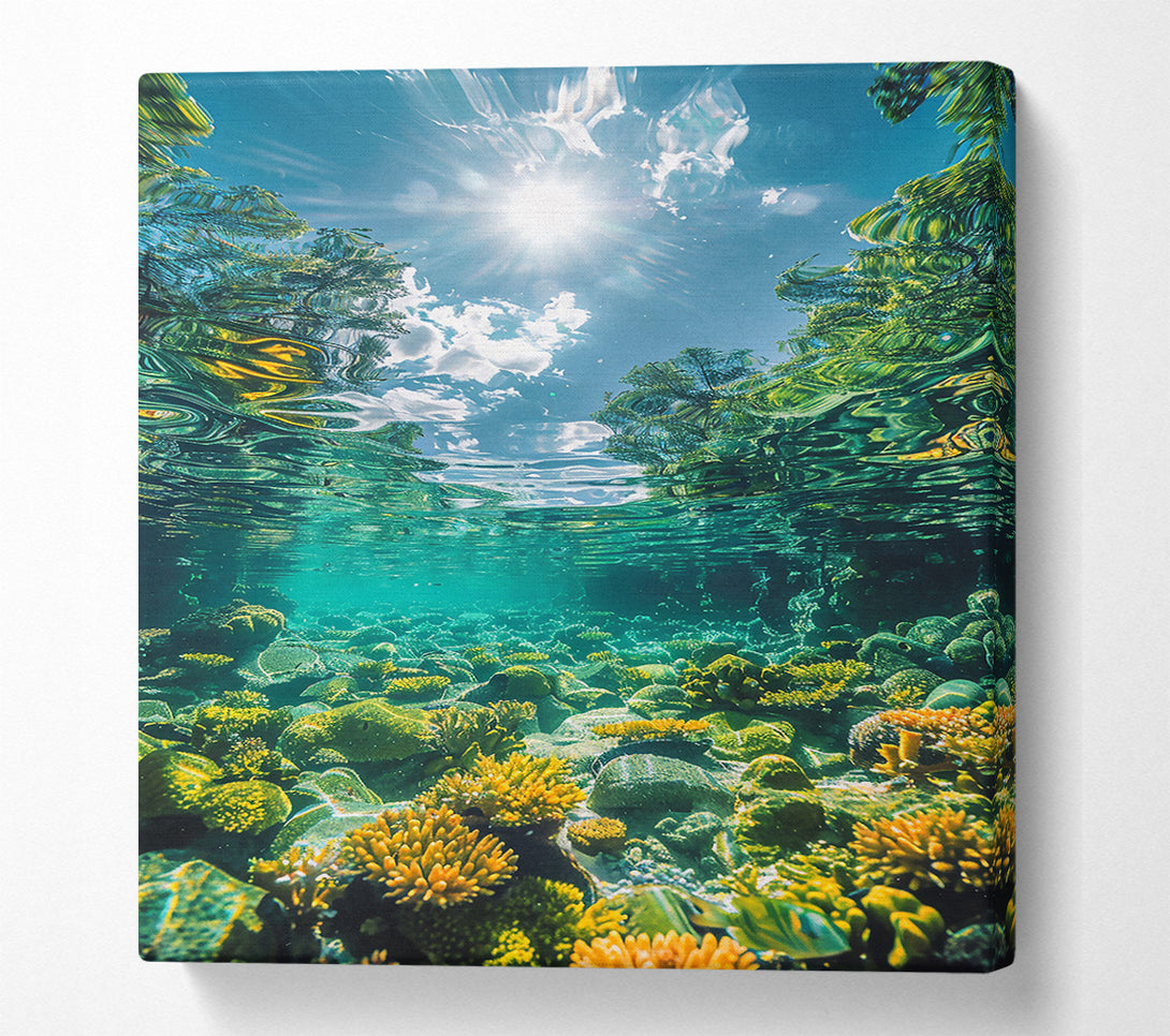  A Canvas Print of Golden Reef Reflection Canvas Print