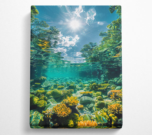  A Canvas Print of Golden Reef Reflection Canvas Print