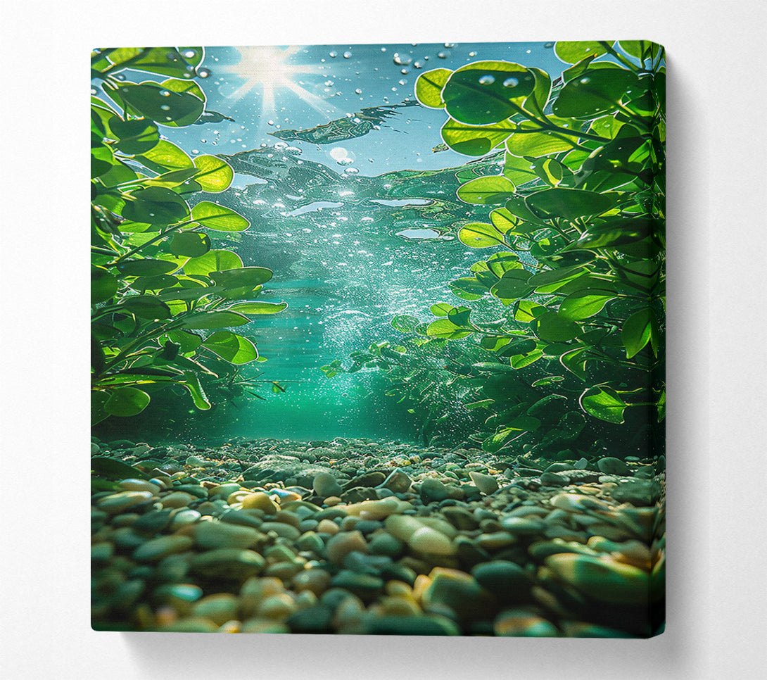  A Canvas Print of Emerald Riverbed Reflection Canvas Print