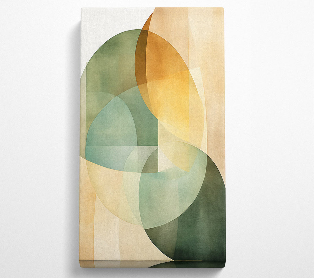  A Canvas Print of Geometric Circles Canvas Print