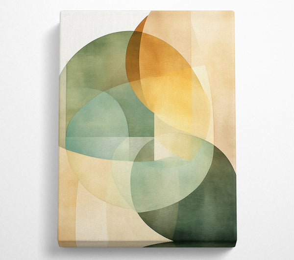  A Canvas Print of Geometric Circles Canvas Print