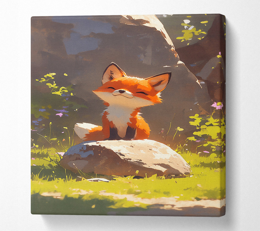  A Canvas Print of Orange Fox On Rock Canvas Print