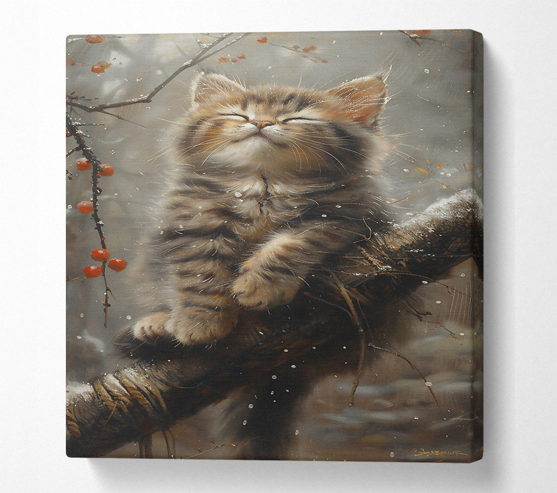  A Canvas Print of Golden Snow Kitten Canvas Wall Art