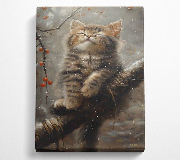 A Canvas Print of Golden Snow Kitten Canvas Wall Art