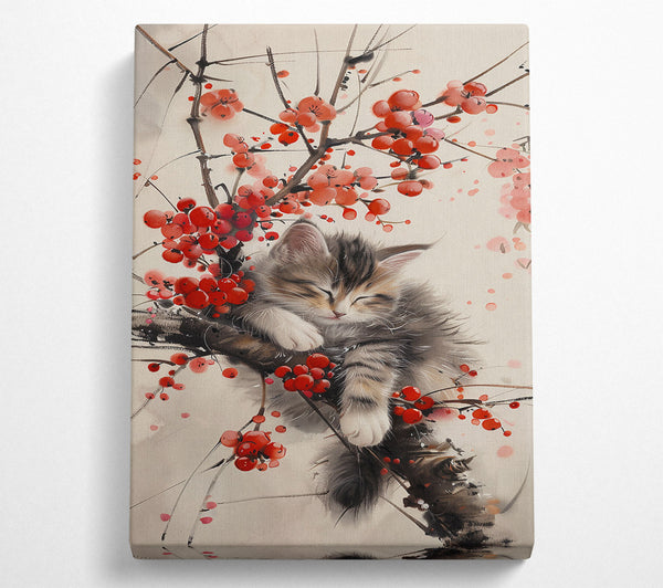 Crimson Cat Nap