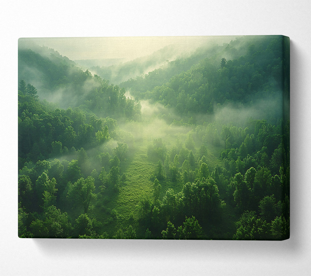  A Canvas Print of Emerald Valley Mist Canvas Wall Art