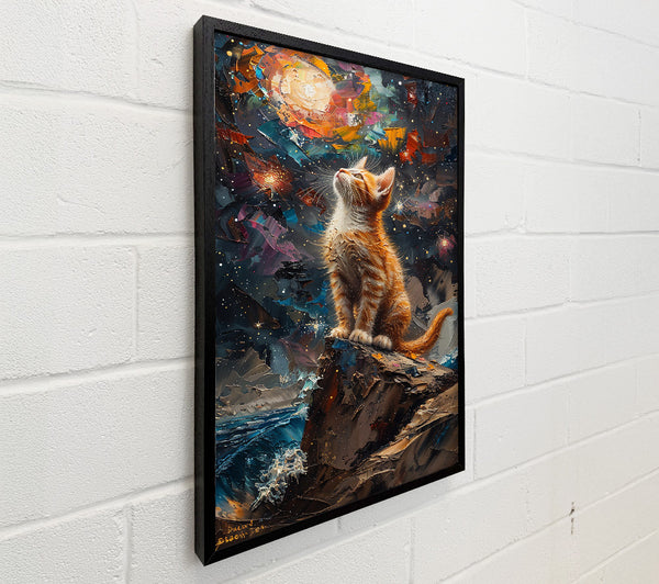 Orange Cat'S Dream