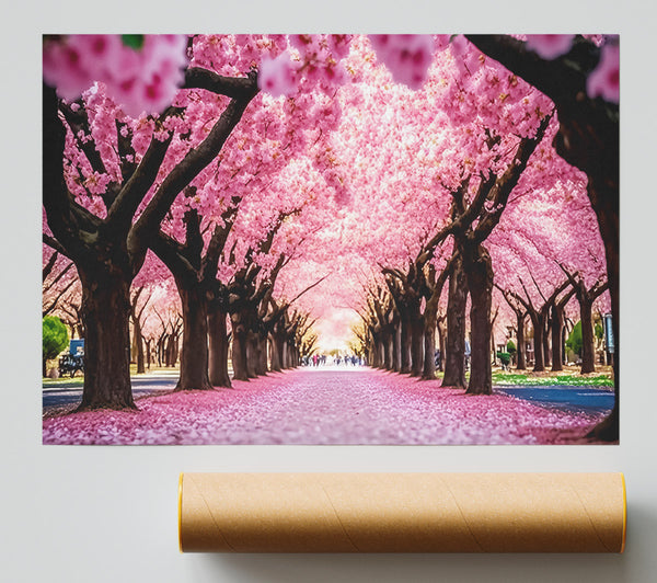 Pink Blossom Tunnel Print