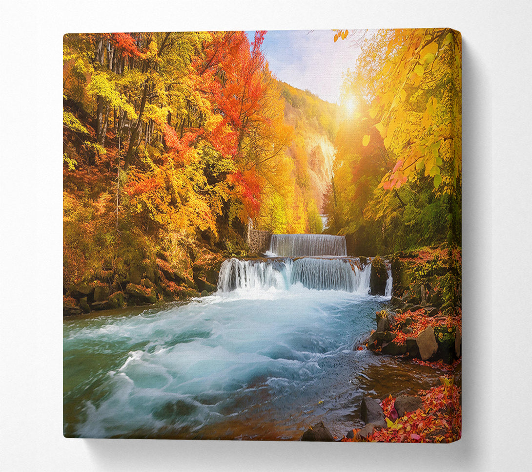  A Canvas Print of Golden Autumn Cascade. Canvas Art