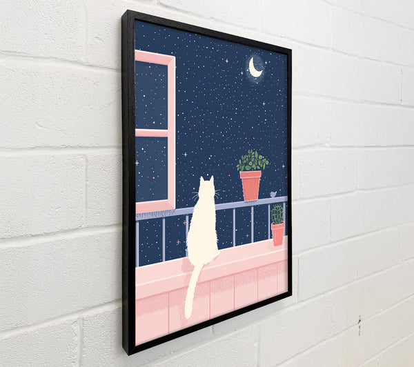 Pink Night Sky Cat