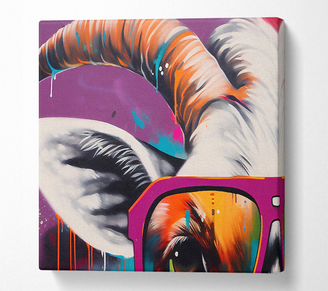  A Canvas Print of Glasses Goat Canvas Print