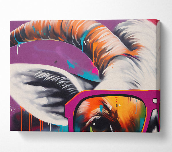  A Canvas Print of Glasses Goat Canvas Print