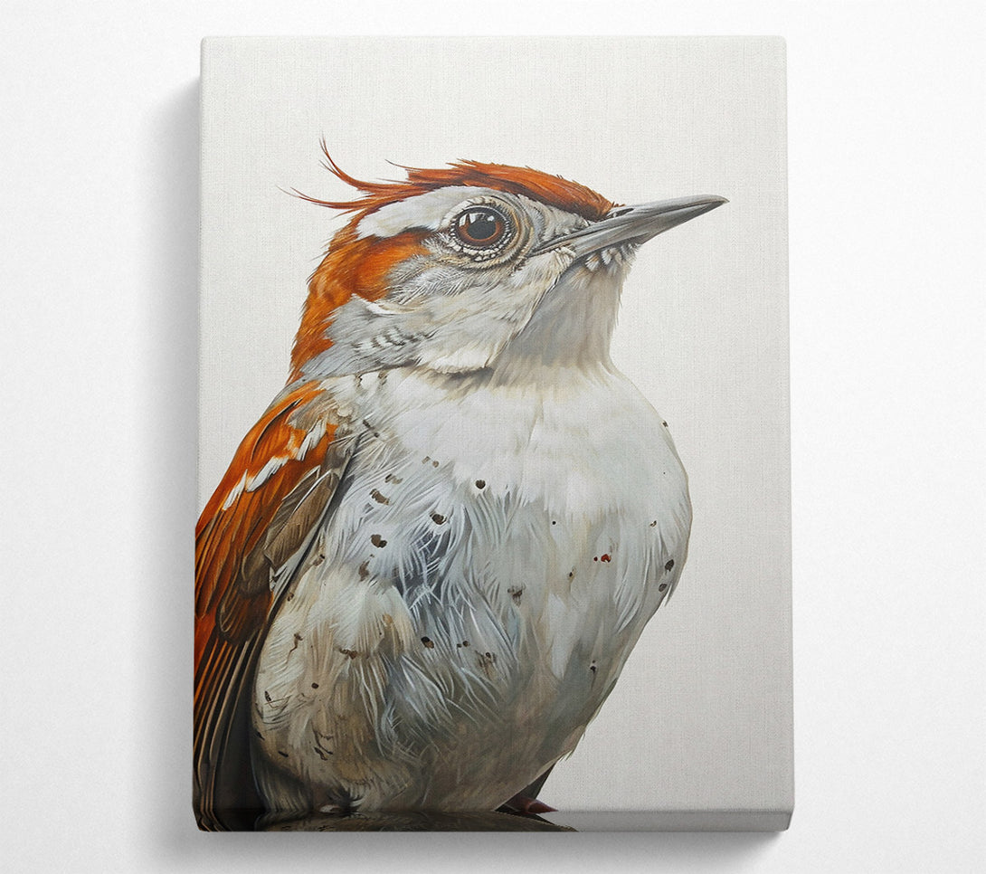  A Canvas Print of The Rusty Gaze Canvas Print